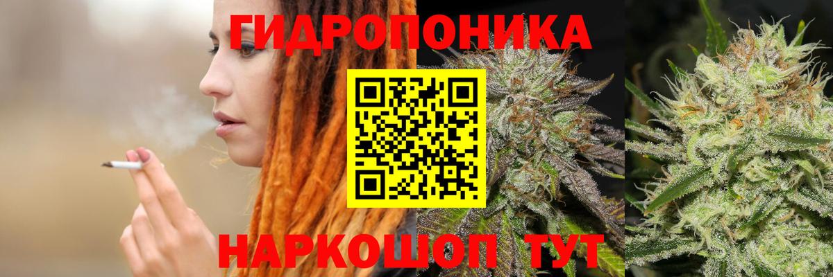 Пятигорск  МАРИХУАНА Bruce Banner  Каннабис семена  Каннабис Bruce Banner  Вход с VPN 